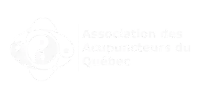 association- site web-06